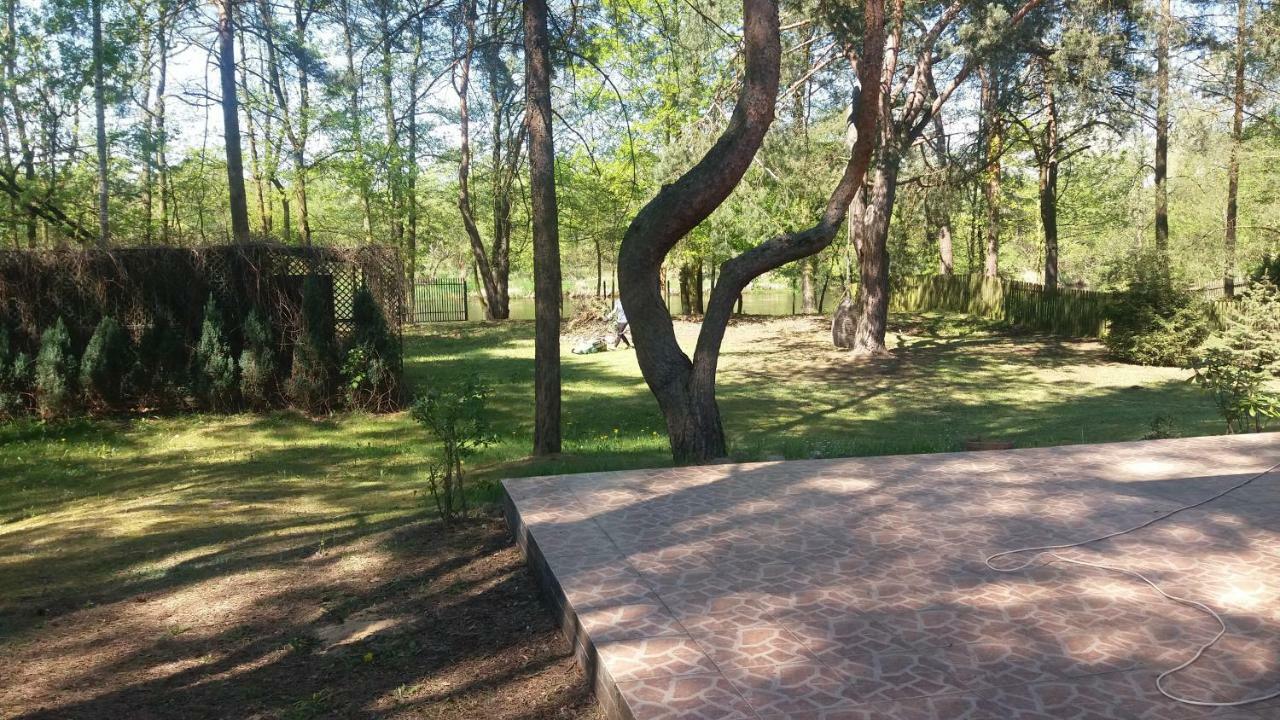 Domek Nad Narwia Dlugosiodlo Экстерьер фото